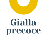 Gialla Precoce